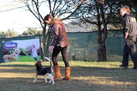 Pendik Köpek Eğitim Çiftliği istanbul